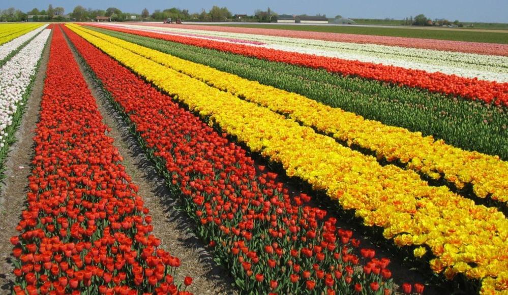 Вилла Zoet En Zilt Sint Maartensvlotbrug Экстерьер фото